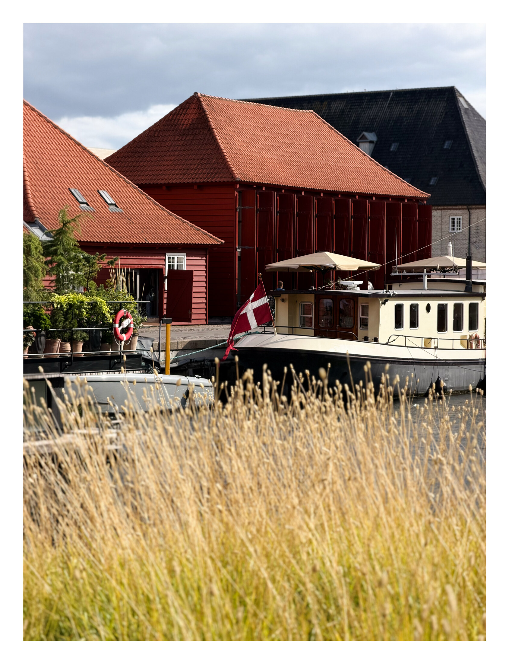 Golden reeds in front of red waterfront warehouses and a moored boat